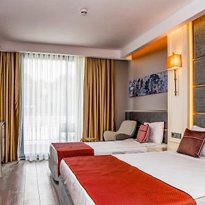 Single Room Mountain View